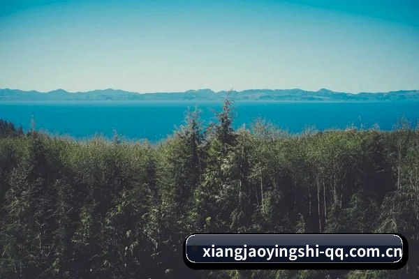 反公关风控